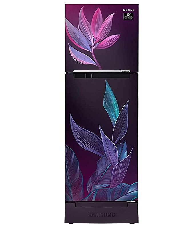 Samsung 253 L 2 Star Inverter Frost-Free Double Door Refrigerator ( Paradise Purple)